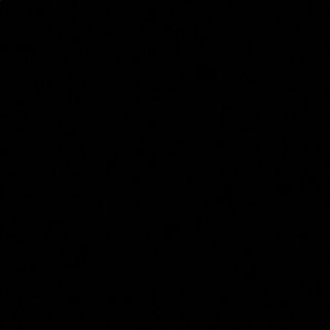 Meet your Posher, Ella